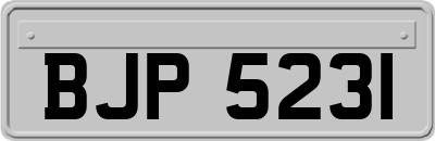 BJP5231