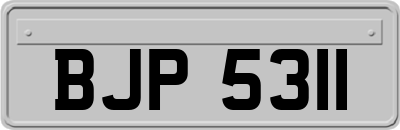 BJP5311