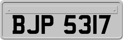 BJP5317