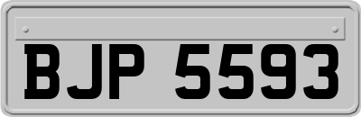 BJP5593