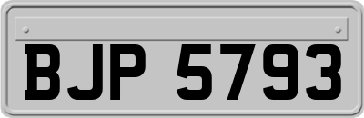 BJP5793