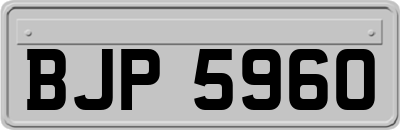 BJP5960