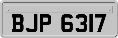 BJP6317