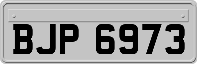 BJP6973