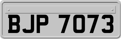 BJP7073