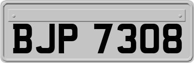 BJP7308