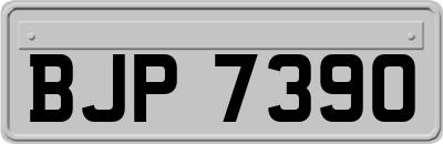 BJP7390