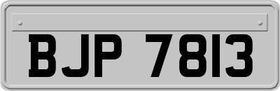 BJP7813