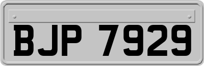 BJP7929