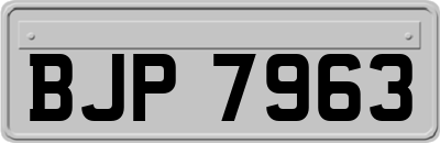 BJP7963