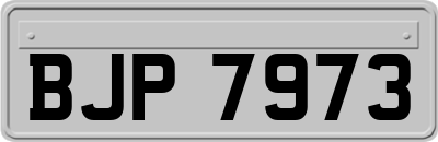 BJP7973