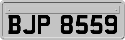 BJP8559