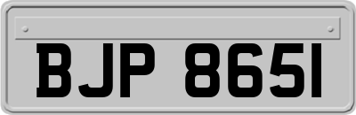 BJP8651