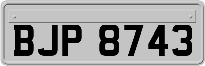 BJP8743