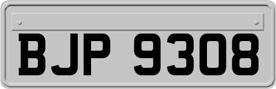 BJP9308
