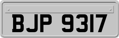 BJP9317