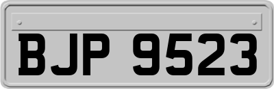 BJP9523