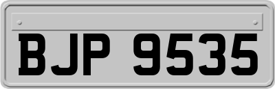 BJP9535
