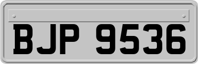 BJP9536