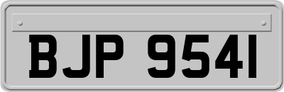 BJP9541