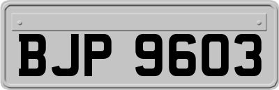 BJP9603