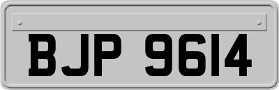 BJP9614