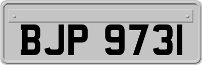 BJP9731