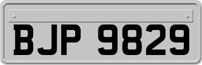 BJP9829