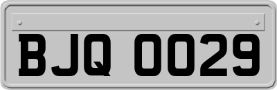 BJQ0029