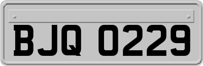 BJQ0229