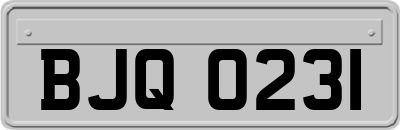 BJQ0231