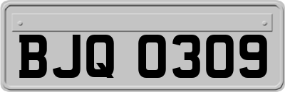 BJQ0309