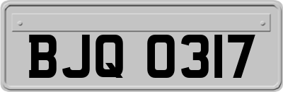 BJQ0317