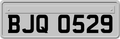 BJQ0529