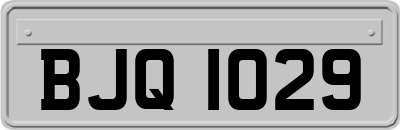 BJQ1029