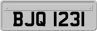 BJQ1231
