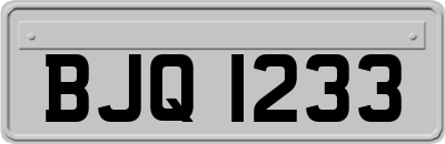 BJQ1233