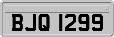 BJQ1299