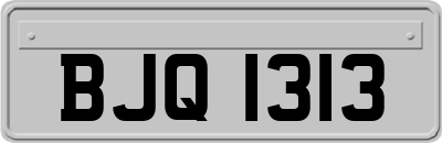 BJQ1313