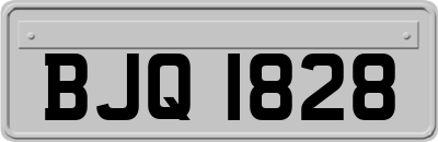BJQ1828