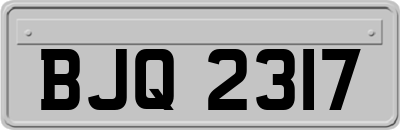 BJQ2317