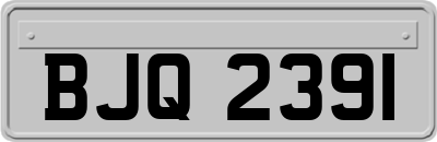 BJQ2391