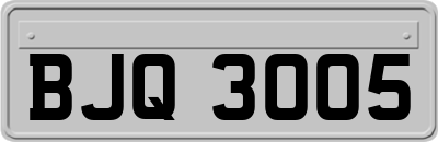 BJQ3005