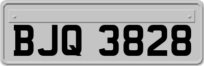 BJQ3828