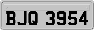 BJQ3954