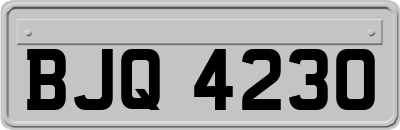 BJQ4230