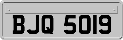 BJQ5019