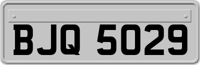 BJQ5029