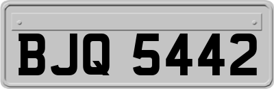 BJQ5442