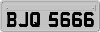 BJQ5666